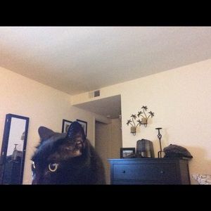 Meet your Posher, Shay